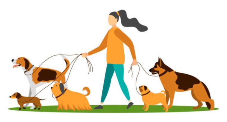 Вигул собак