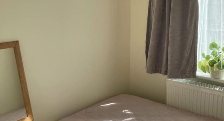 Здається box room