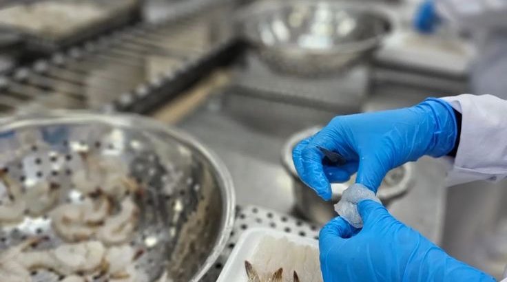 Робота на Фабрику Напівфабрикатів