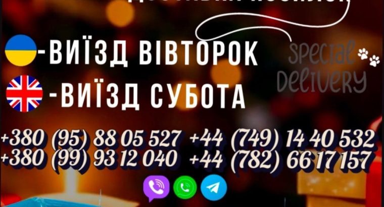 *Регулярні пасажирські перевезення та доставка передач Україна – Англія*