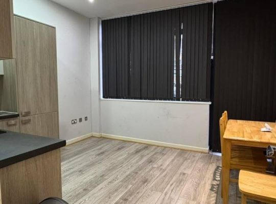 1 bedroom flat