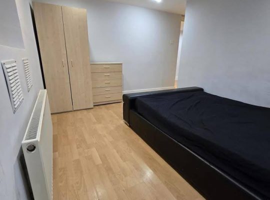 1 bedroom Flat with Garden (basement)