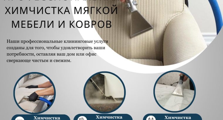 Професійна чситка меблів