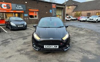 Ford Fiesta ST-3