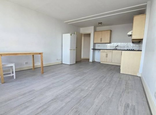 1 bedroom Flat