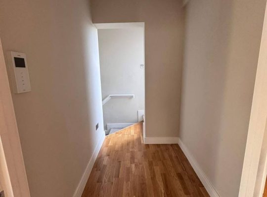 2 bed flat with terrace