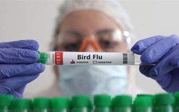 У Британії зафіксували рідкісний випадок зараження людини пташиним грипом