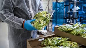 Збір та пакування салатів