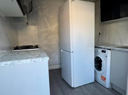 3 bedroom flat with garden