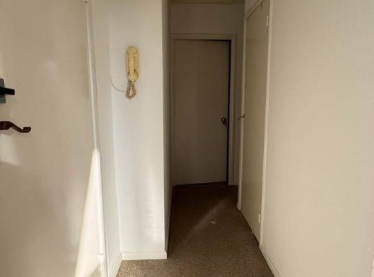 1 Bedroom flat