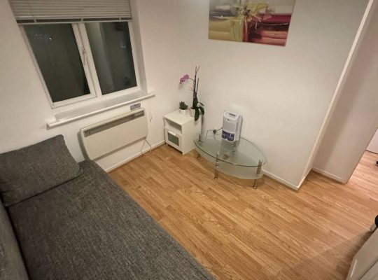 1 Bedroom Flat