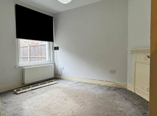 2 bedroom flat with garden