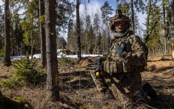Миротворці в Україні: британський міністр відповів, що буде в разі атаки на них росіян