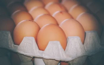 Яйце продали за понад 22 000 гривень: у чому його особливість – фото