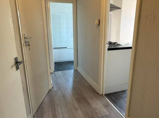 2 bedroom flat