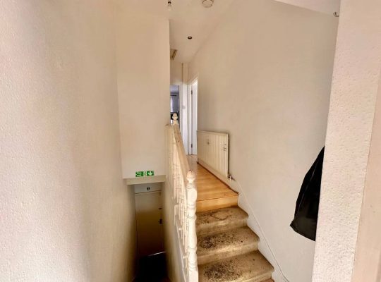 1 bedroom flat