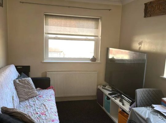 1 bedroom flat