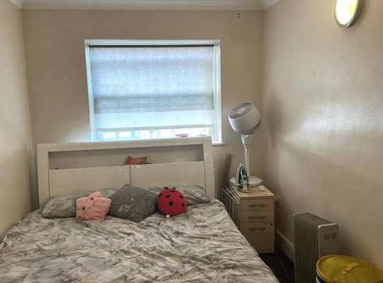 1 bedroom flat