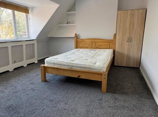 1 bedroom flat