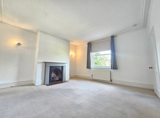 1 bedroom flat