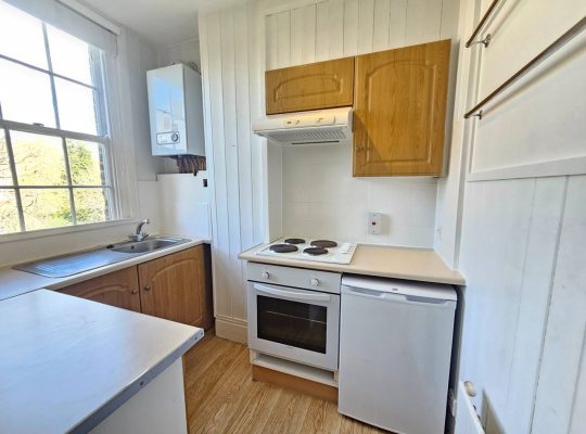 1 bedroom flat