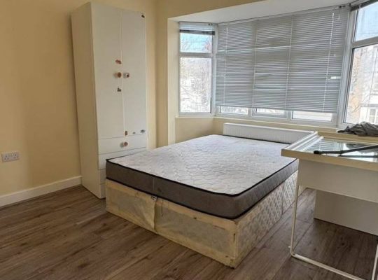 3 bed house with garden