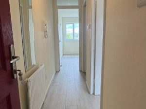 1 bedroom flat