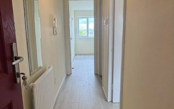 1 bedroom flat