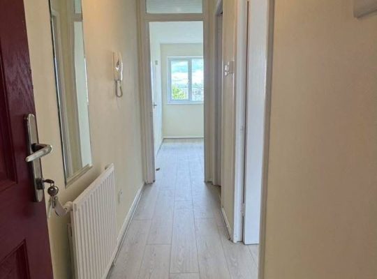 1 bedroom flat